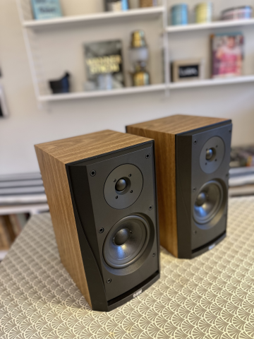 Bowers & Wilkins DM302