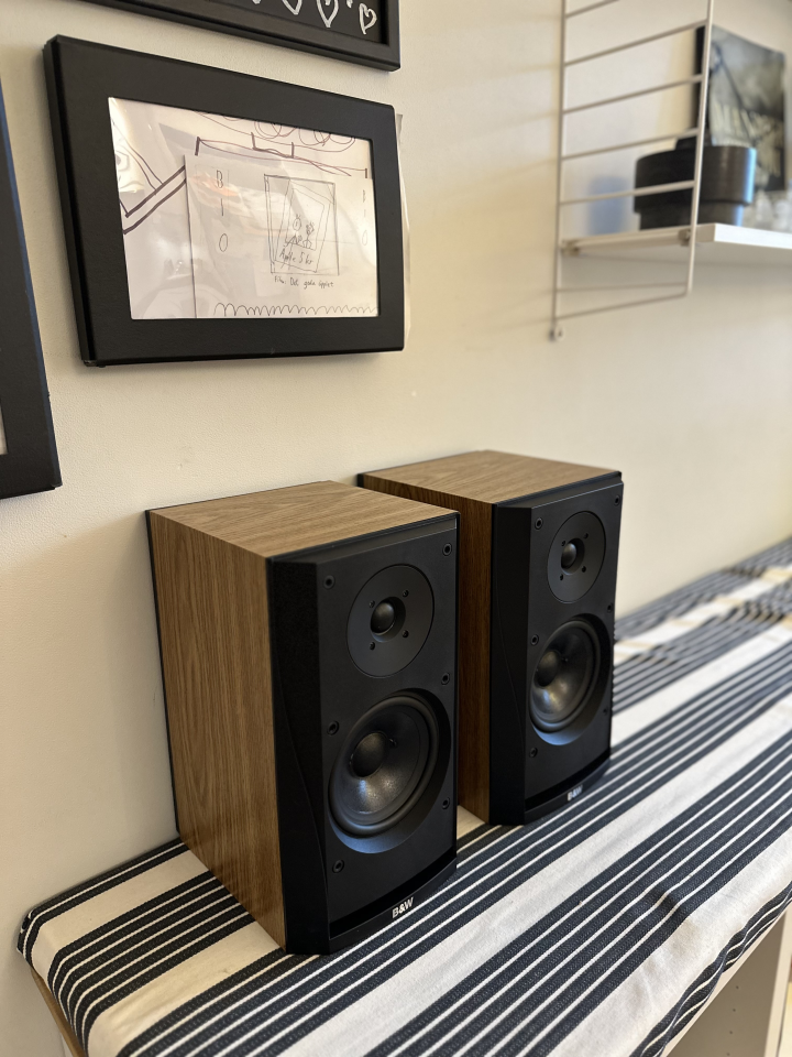 Bowers & Wilkins DM302