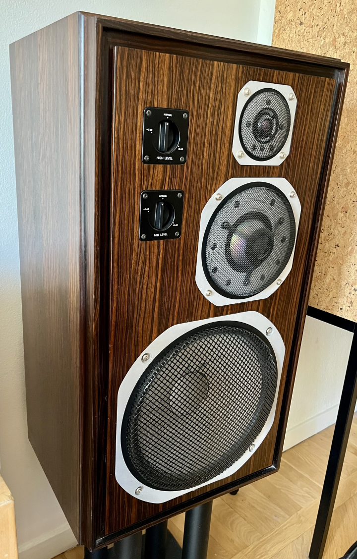 Yamaha NS1000 (utan M)