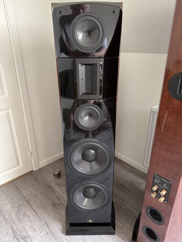 Aurumcantus Grand Supreme - Bild 3 av 4