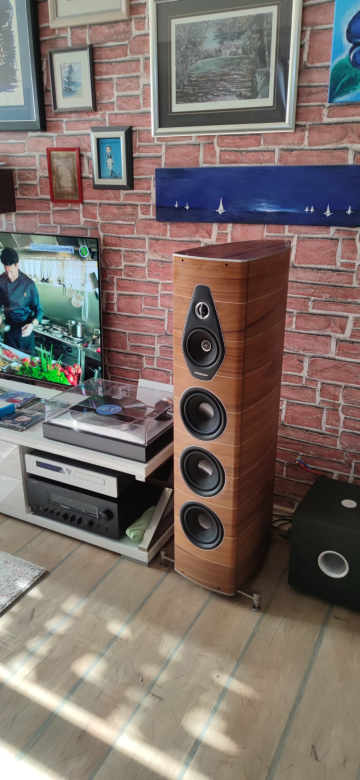 Sonus faber Olympica Nova V