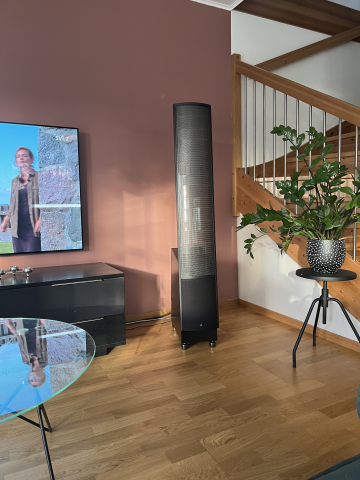 Martin Logan ESL X