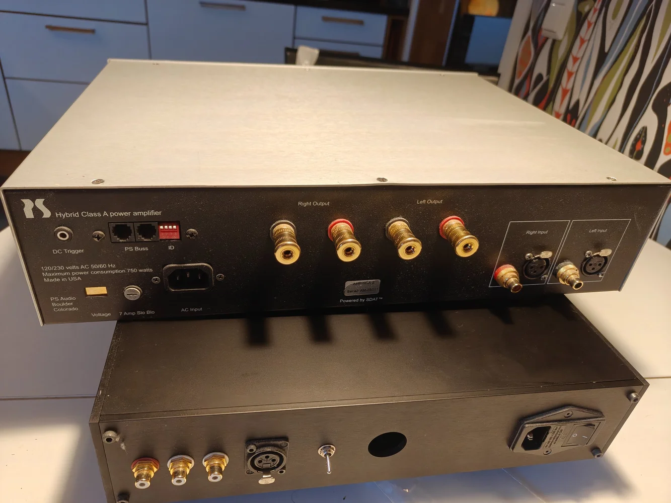 PS Audio HCA-2 - Bild 3 av 5