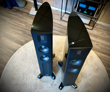 Raidho Acoustics D2.1 - Pre-owned