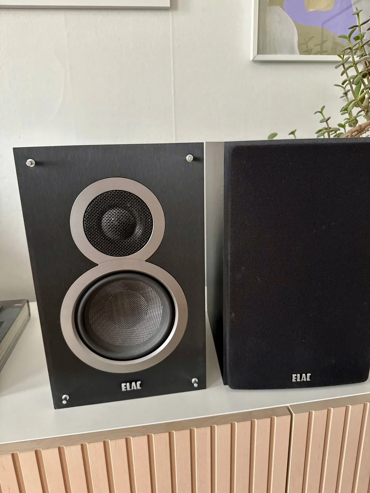 Elac Debut B5