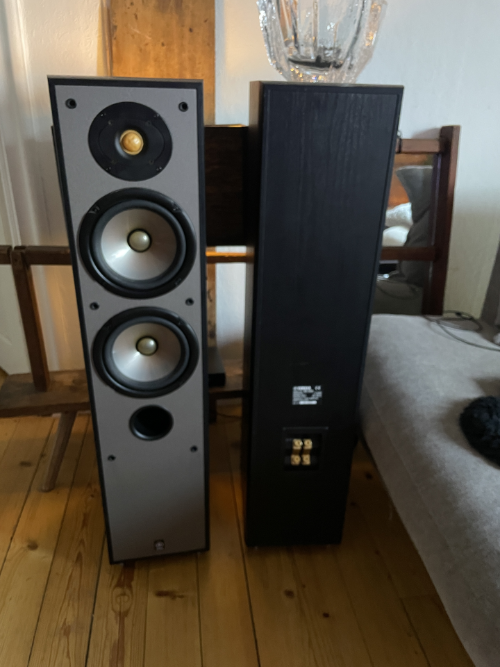 Yamaha NS-300 