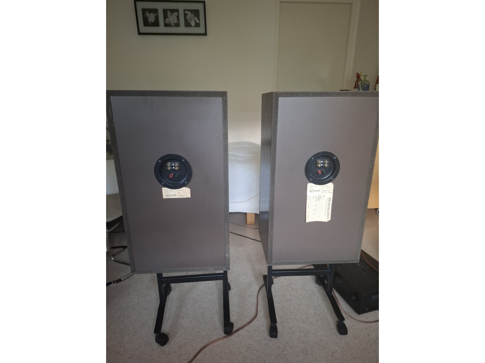 Polk Audio 10