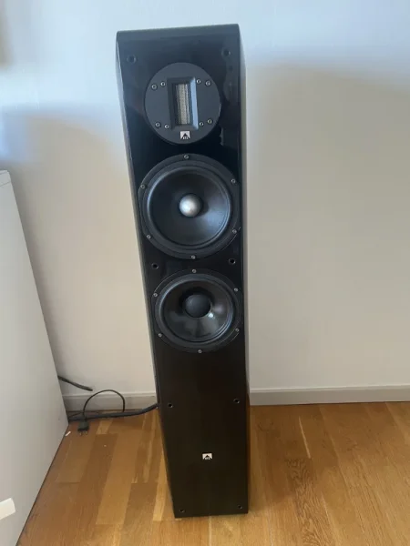 Golvhögtalare XTZ subba XTZ samt förstärkare Audiolab säljes Golvhögtalare XTZ subba XTZ samt förstärkare Audiolab säljes - Bild 1 av 6