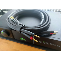 REGAL AUDIO, Van den Hul & BELDEN 