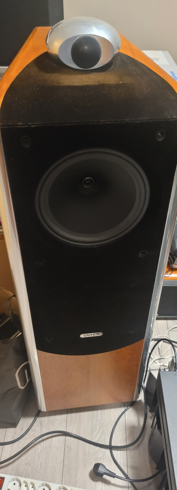 tannoy td10