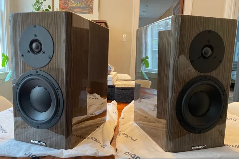 Dynaudio Special 40 - Grey Birch - Billede 1 af 1