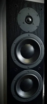 Dynaudio Focus 220 MKII Mint condition