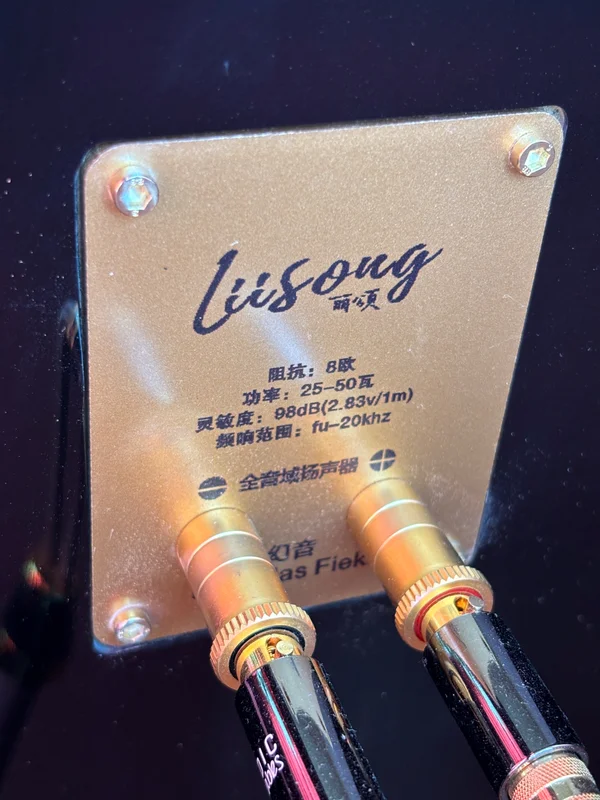 Lii Audio Liionidas Fieke S6 MK2 + Rel Tzero lll - Bild 3 av 3