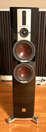 Dali Epicon 6 Ruby Macassar hög glanslack