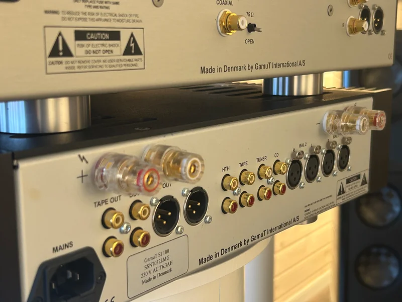 GamuT Si-100 &amp; GamuT CD-3 - Bild 3 av 5