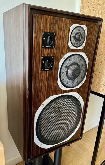 Yamaha NS1000 (utan M)