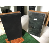 Beovox p30