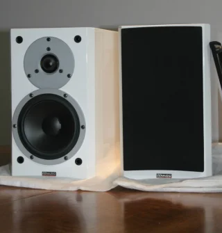 Dynaudio Exite 12