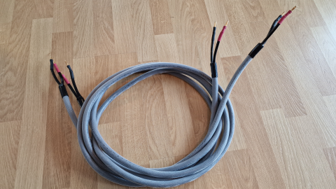 Tara Labs, Prism omni 3