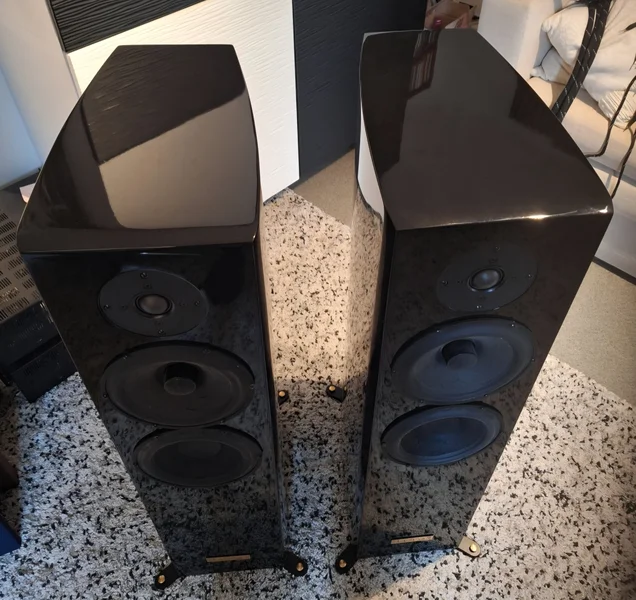 Wallin Prototyp - Bilde 3 av 8