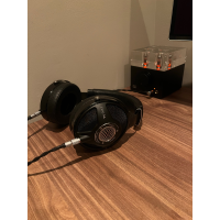 Hifiman HE1000se / Woo Audio WA7 Gen 3