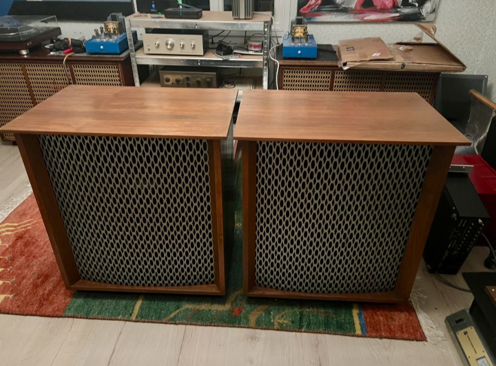 Altec Lansing Valencia 1 pair. 