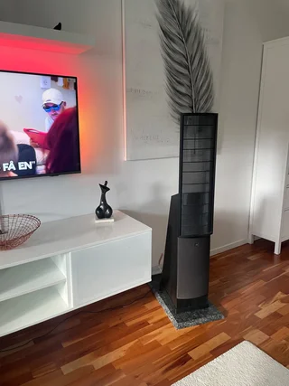 Martin Logan Source elektrostater