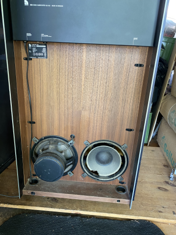 Audio Pro B2-100