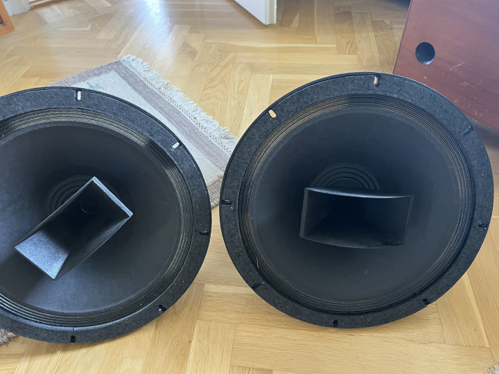 ALTEC WOLF VON LANGA FIELD COIL 