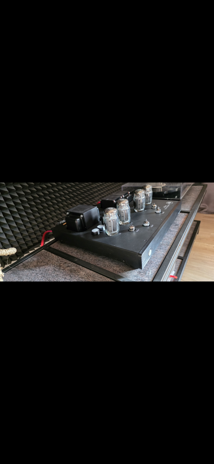 Rogue Audio Atlas Magnum III slutsteg