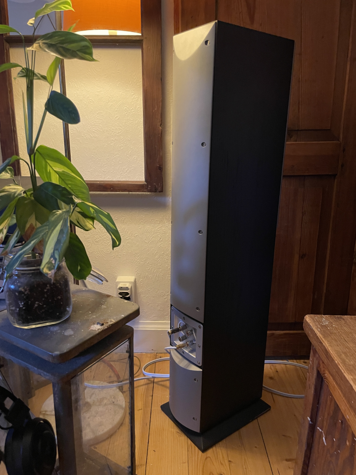 Audiovector Ki3 Signature 