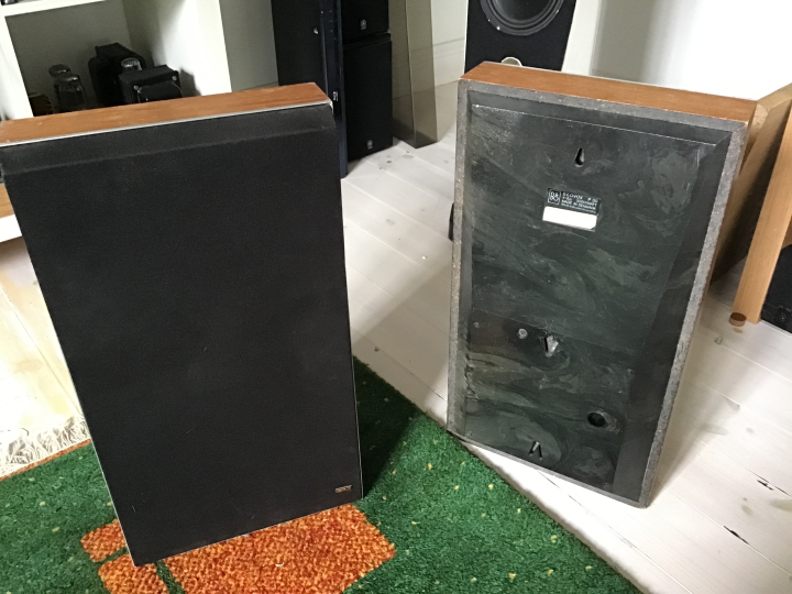 Beovox p30