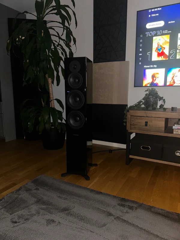 Dynaudio Evoke 50 Piano svart - Billede 1 af 1