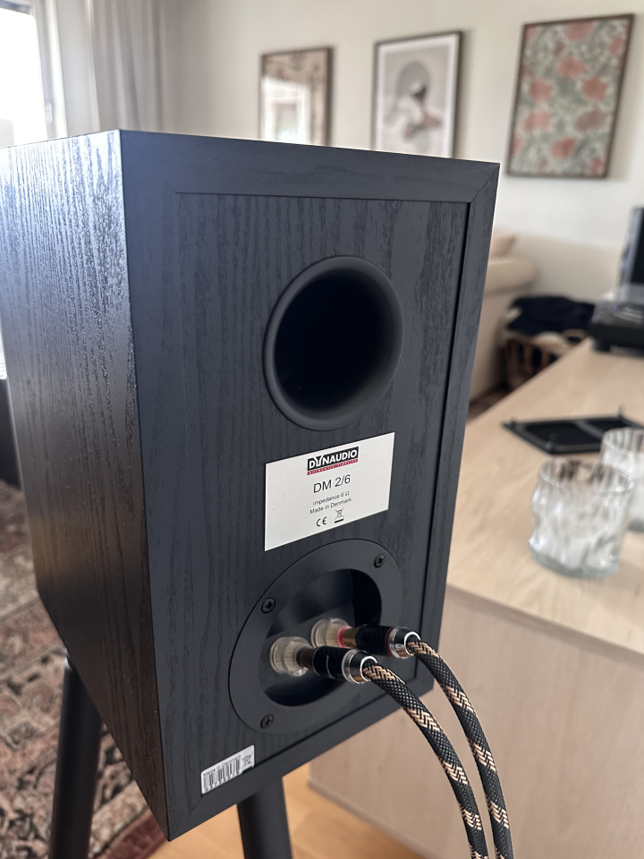Dynaudio DM 2/6