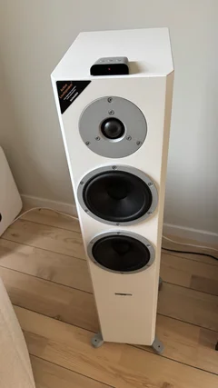Dynaudio XEO 6