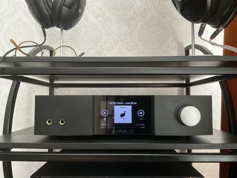 Auralic Vega G1 – Streaming-DAC / digitalt försteg