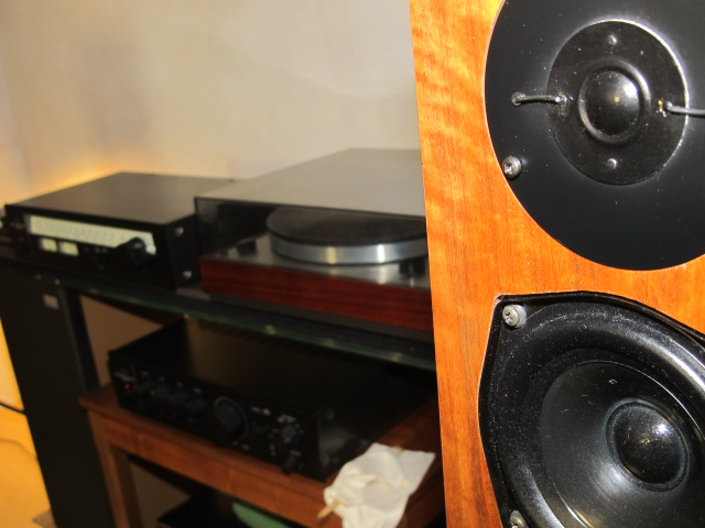 KEF Reference 101