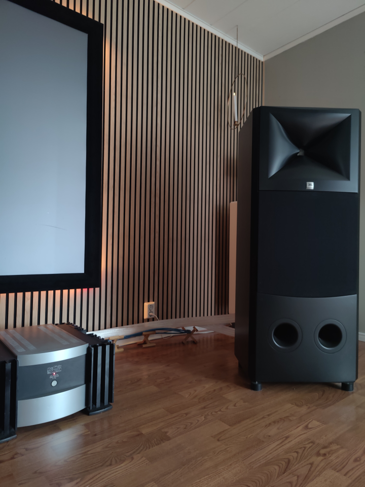 JBL and Mark Levinson Setup 
