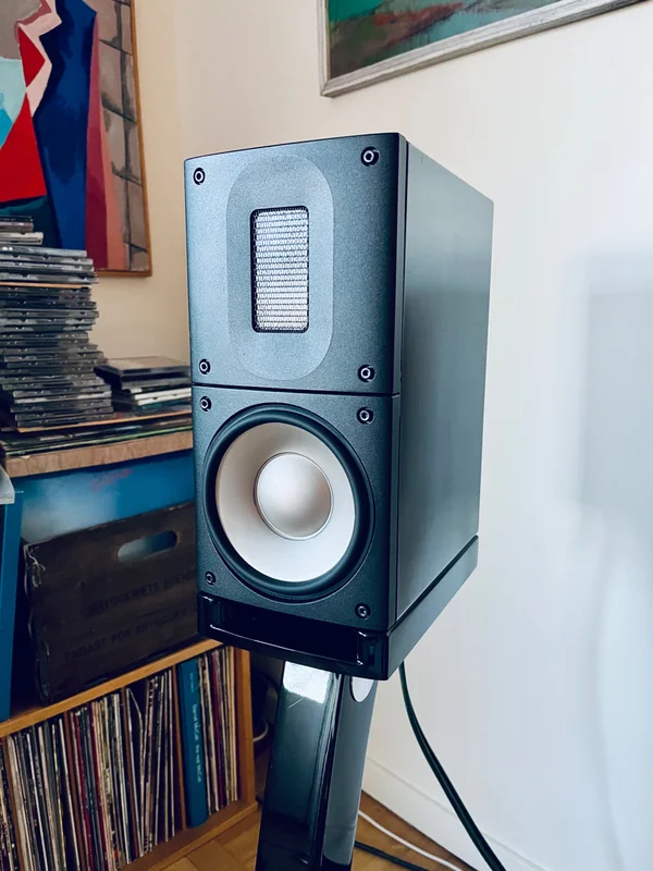 Raidho XT-1 inkl stativ  - Bild 2 av 6