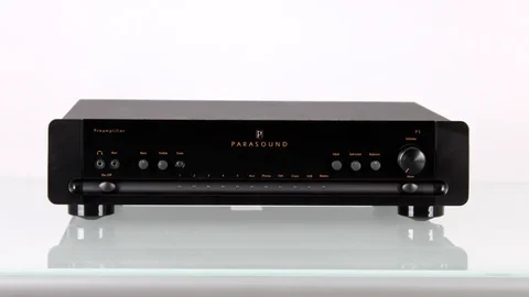 Parasound P5