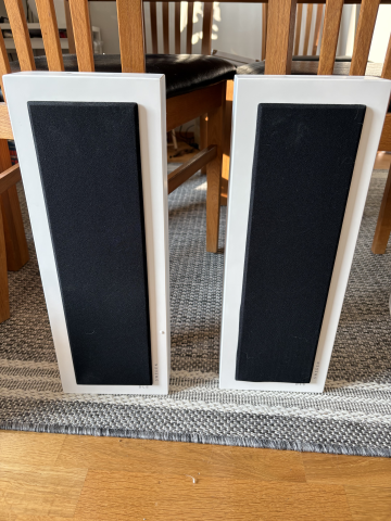 DLS XL Flat högtalare 