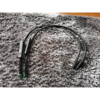 Audioquest earth rca 1m