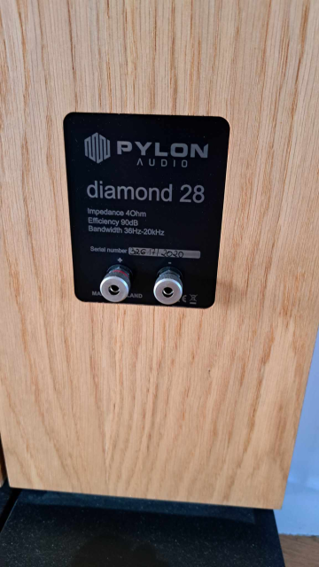 Pylon Diamond 28 Golvhögtalare