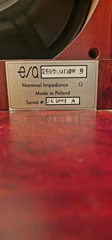 ESA Revolution No.9