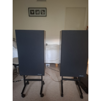 Polk Audio 10