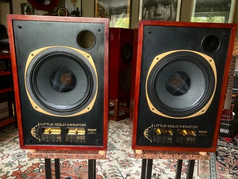 Tannoy LGM 12” Dual Concentric.