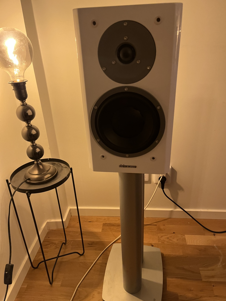 Dynaudio focus 160