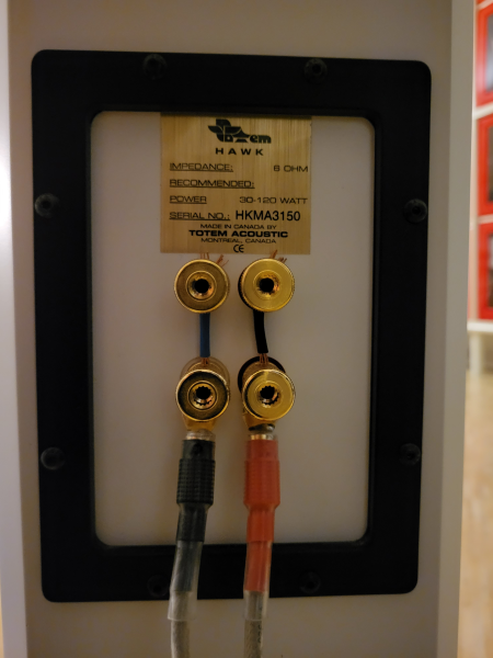 Totem Hawk Högtalare - Bild 3 av 5