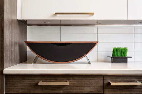 Martin Logan Crescendo WiFi Högtalare Martin Logan Crescendo WiFi Högtalare