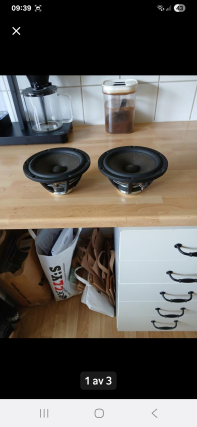 SB Acoustics Satori MR16P-4